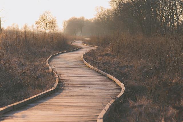 path, wetlands, outdoors